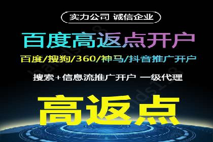 电商平台信息流广告的投放策略与效果评估案例